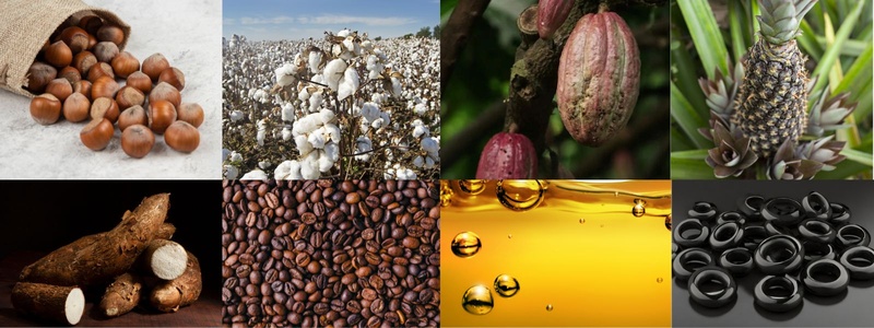 Why Invest in Agro-Processing Business in Africa?