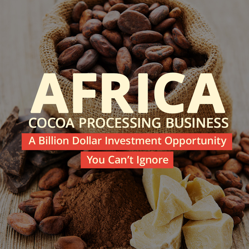 Cocoa Processing Business in Africa_Arise IIP_Africa For Investors