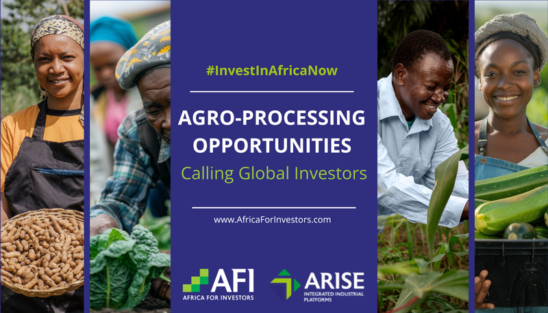 AfriEdge Newsletter: Africa is Inviting Agro-Processing Businesses