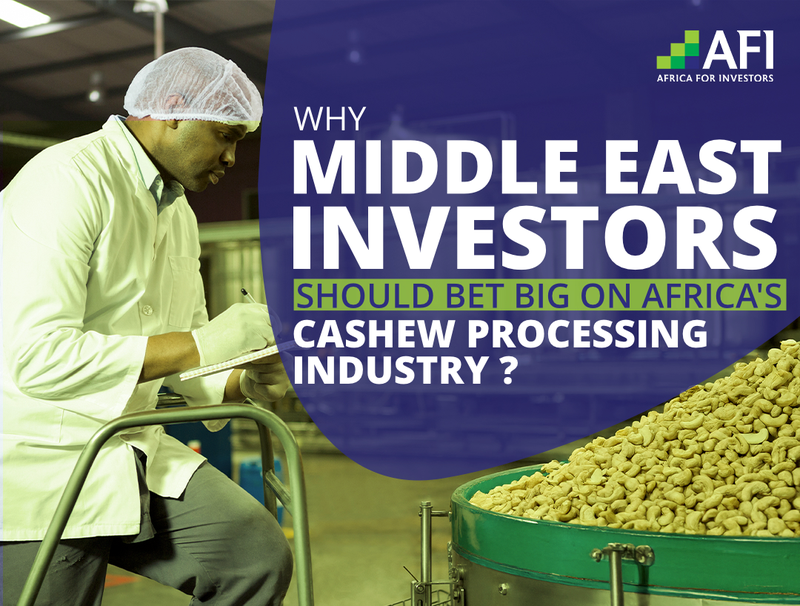 Why Middle East Investors Should Bet Big On Africa's Cashew Processing Industry?