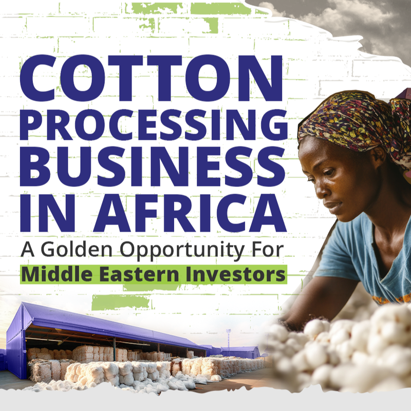 How Middle East Investors Can Profit From Cotton Processing Business In Africa?