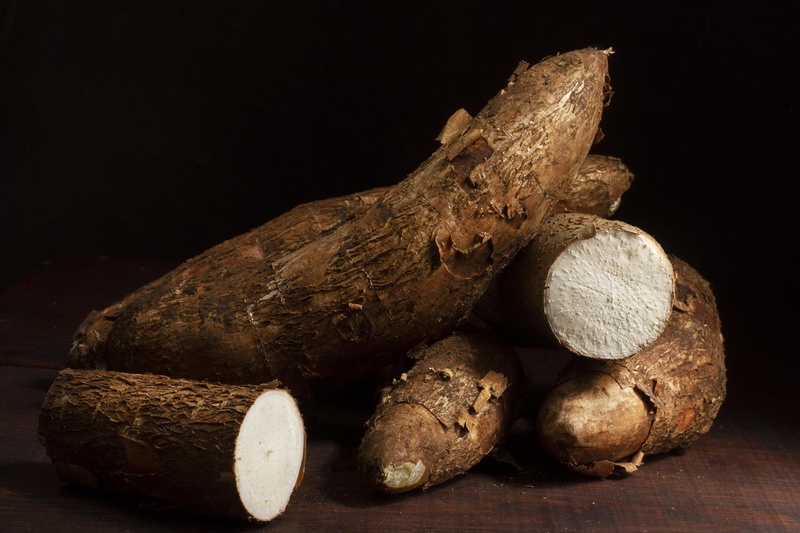 Cassava Business in Africa: A Lucrative Investment Opportunity