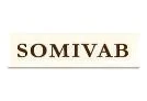 GSEZ-Somivab, Logos of investment companies and clients associated with Arise IIP, Africa For Investors