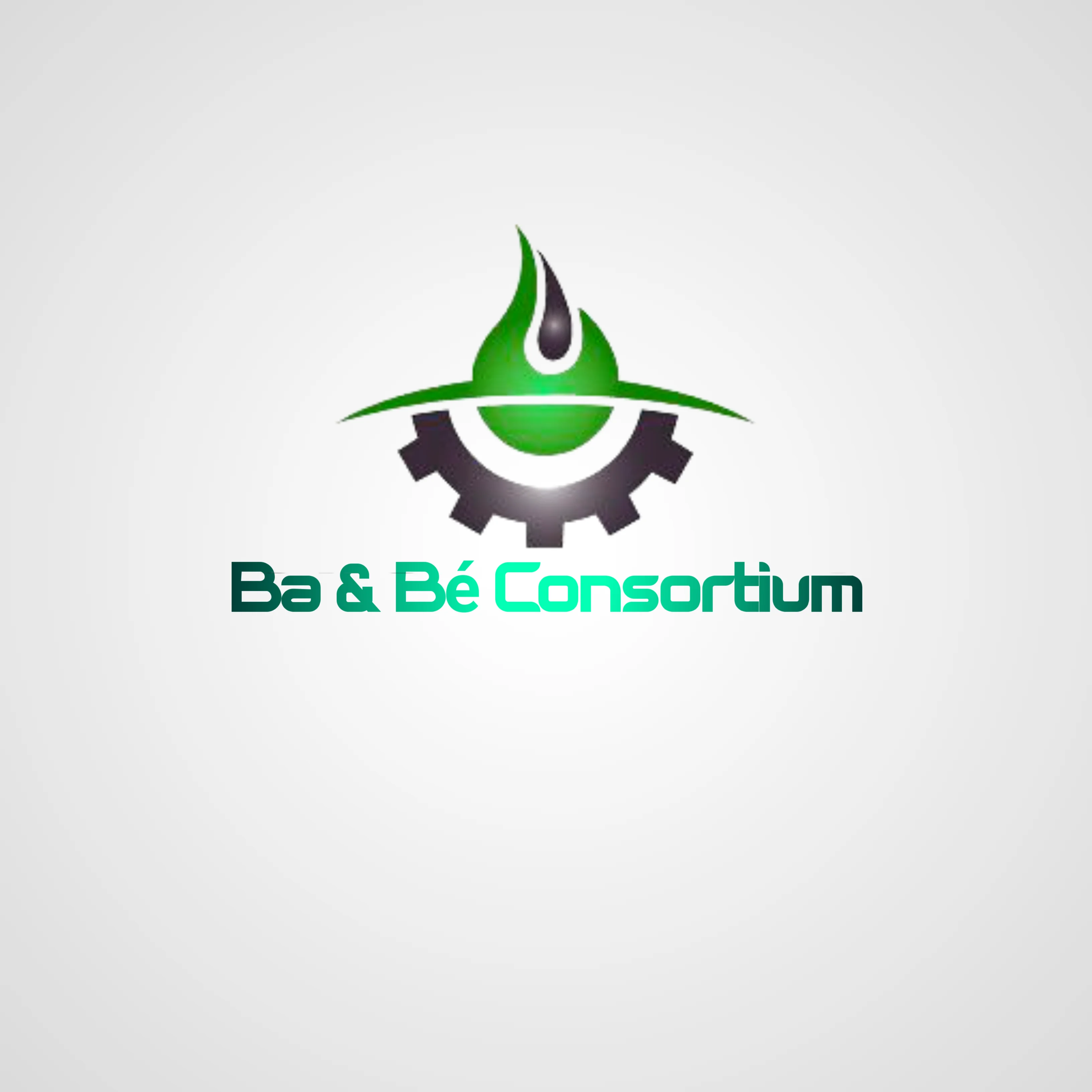 PIA-Togo-Ba & Be Consortium (Bawason)