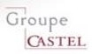 PIA-Togo-Castel Groupe, Logos of investment companies and clients associated with Arise IIP, Africa For Investors