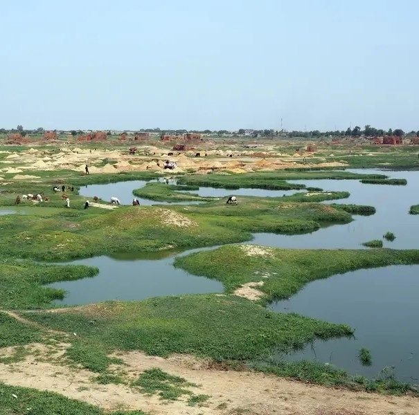 Invest in Chad, Africa - Business Opportunities for Investors in Arise IIP SEZs, Special Economic Zones.