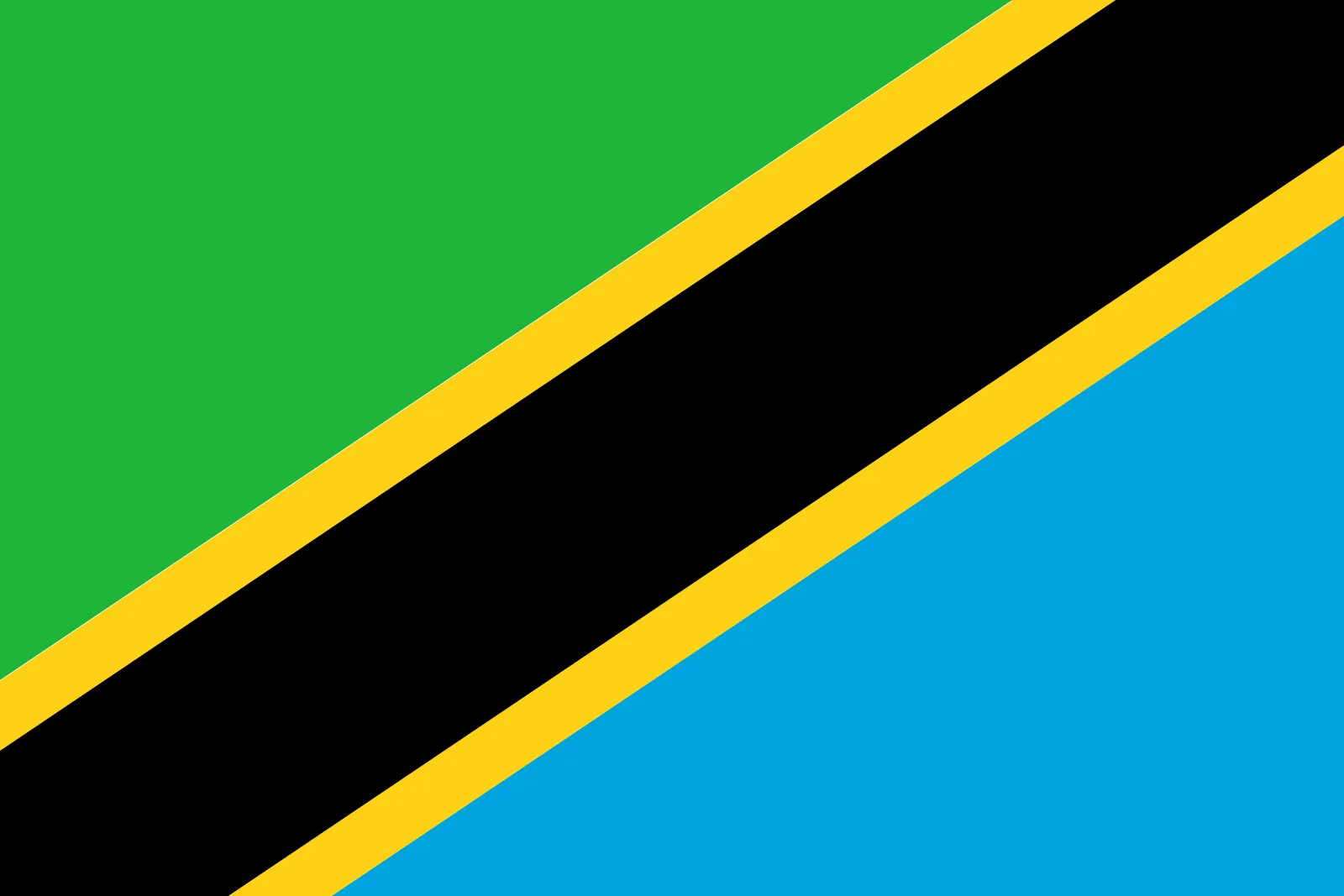 Tanzania Flag