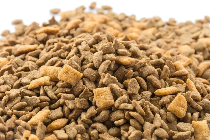 Animal Feed From Palm Kernel Cake Business Opportunity, Palm Oil By-Product Markets, Africa For Investors