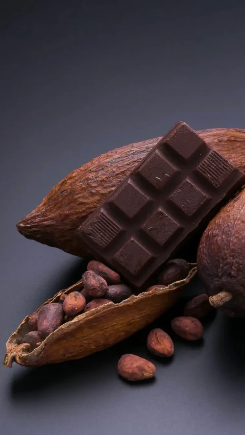 Cocoa Business Investment In Africa, Business Opportunities for Investors in Arise IIP SEZs, Special Economic Zones.