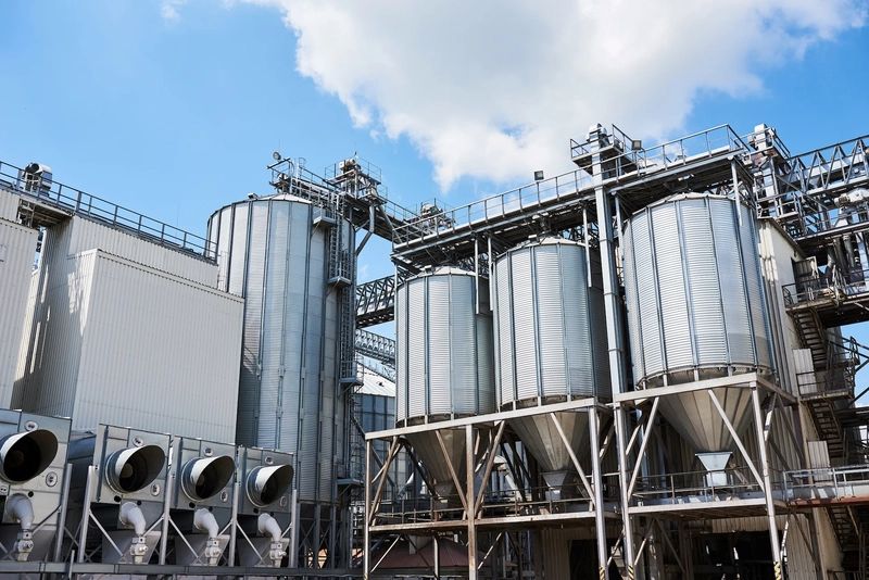Feed Mill Business Opportunity in ZINDJAM, Chad, Meat Processing By-Product Markets, Africa For Investors