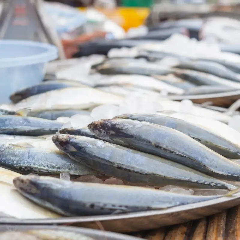 Fish & Sea Food Business Opportunity in ZINDJAM, Chad, Meat Processing By-Product Markets, Africa For Investors