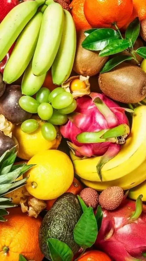 Fruit Processing Business Investment In Africa, Business Opportunities for Investors in Arise IIP SEZs, Special Economic Zones.