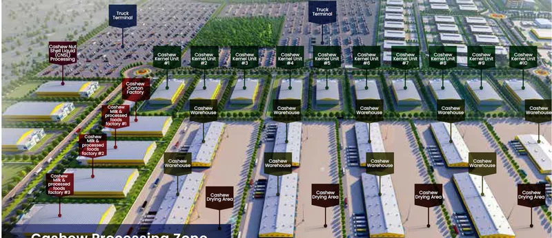 Cashew Processing Facilities in Benin GDIZ Capabilites & Facilities in GDIZ, Benin, Arise IIP industrial zones, SEZs of Africa For Investors