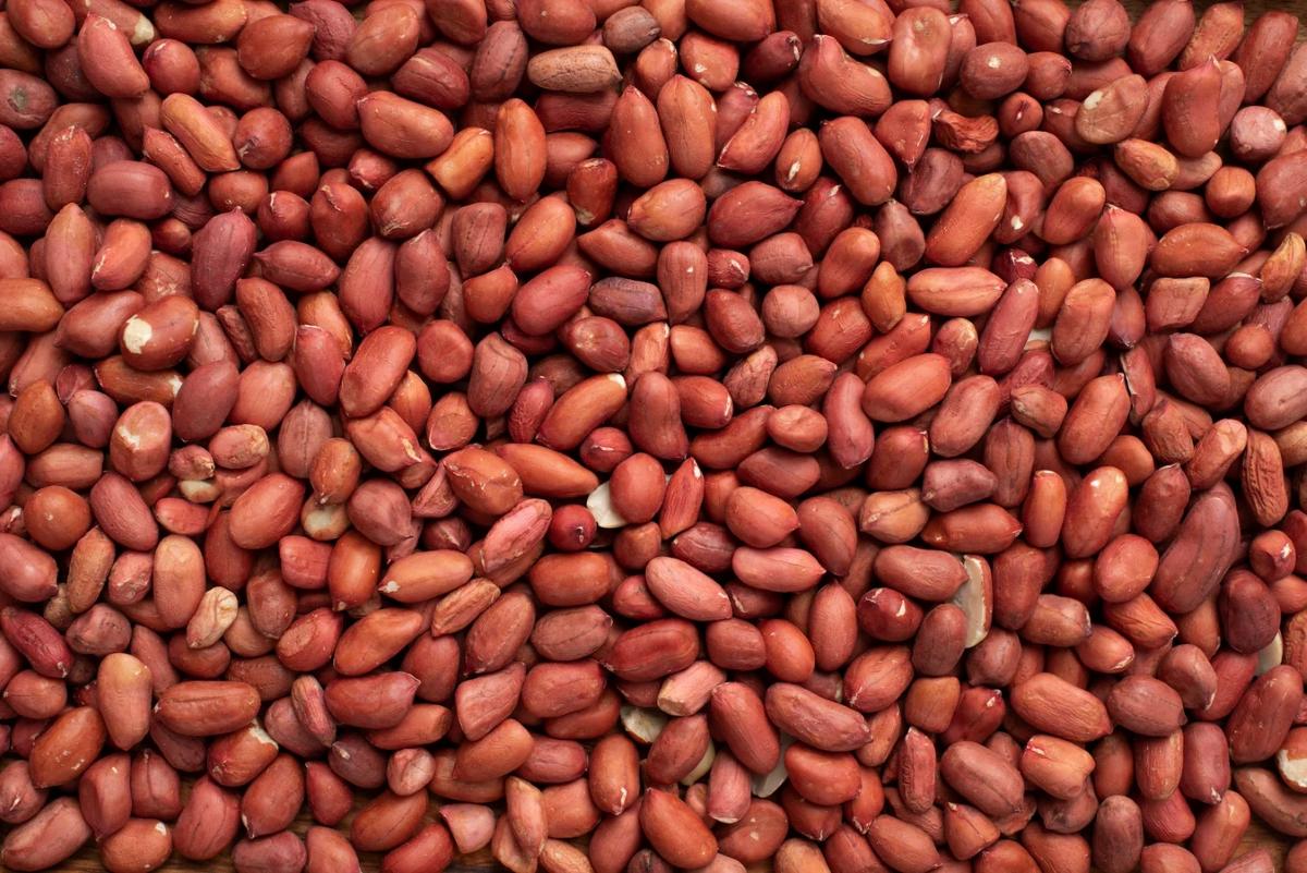 Groundnut  Business In Africa, Explore Investment Opportunities in Arise IIP SEZs, Special Economic Zones Guide.