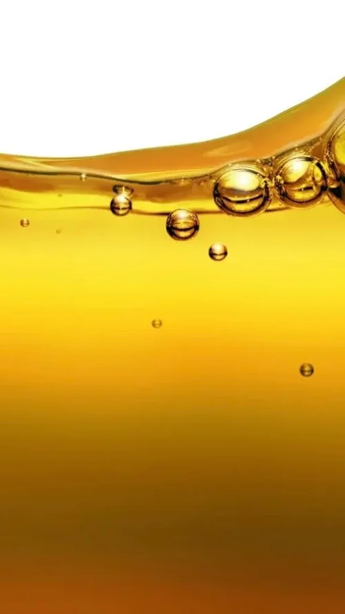 Palm Oil Business Investment in GSEZ, Gabon, Africa, Industry Opportunities for Investors in Arise IIP SEZs, Special Economic Zones.
