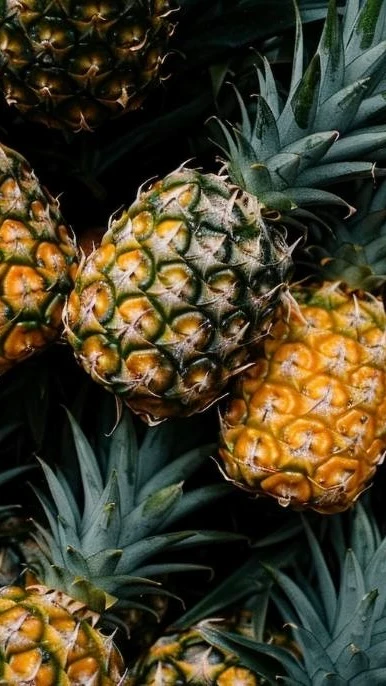 Pineapple Business Investment in GDIZ, Benin, Africa, Industry Opportunities for Investors in Arise IIP SEZs, Special Economic Zones.