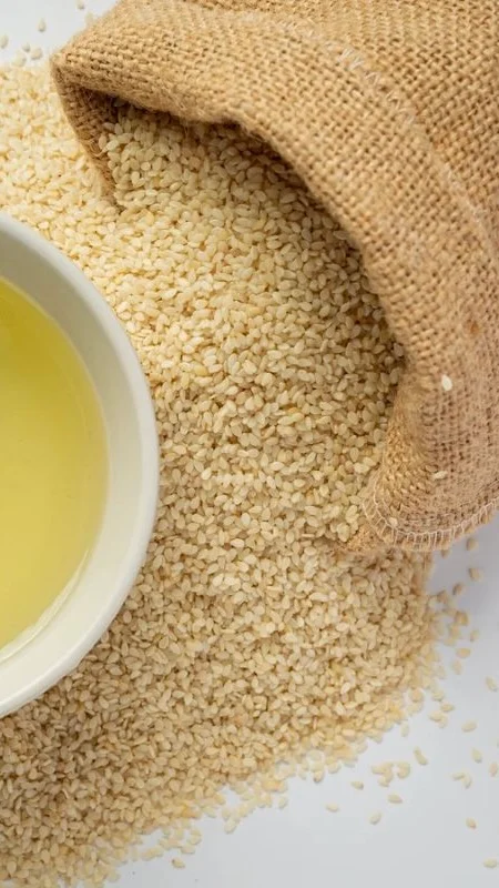 Sesame Business Investment in ZISARH, Chad, Africa, Industry Opportunities for Investors in Arise IIP SEZs, Special Economic Zones.
