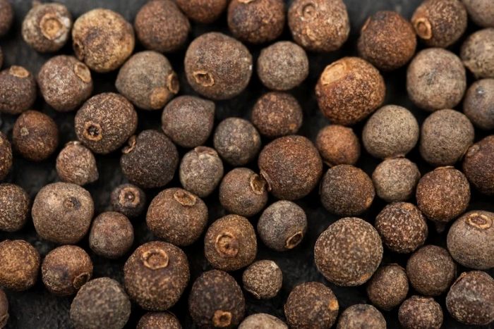 Shea Cake (Fertilizers, Animal Feed) Business Opportunity, Shea Processing By-Product Markets, Africa For Investors