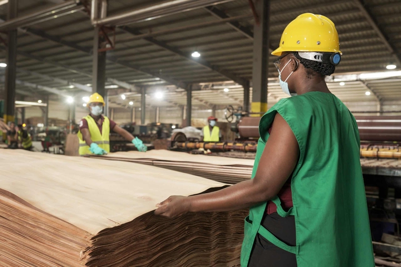 Plywood Processing