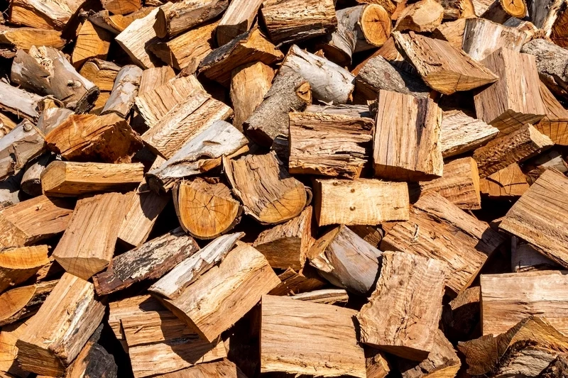 Wood Chips (Pulp & Paper Production)