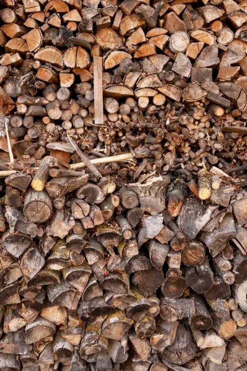 Wood Pellets (Biofuel) Business Opportunity in GSEZ, Gabon, Sawn Wood By-Product Markets, Africa For Investors
