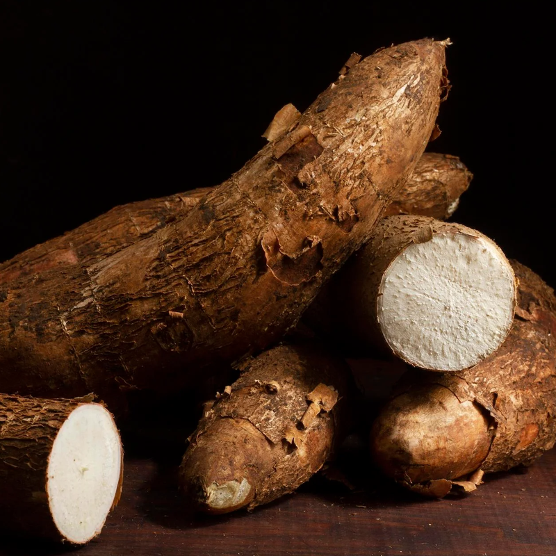 Cassava