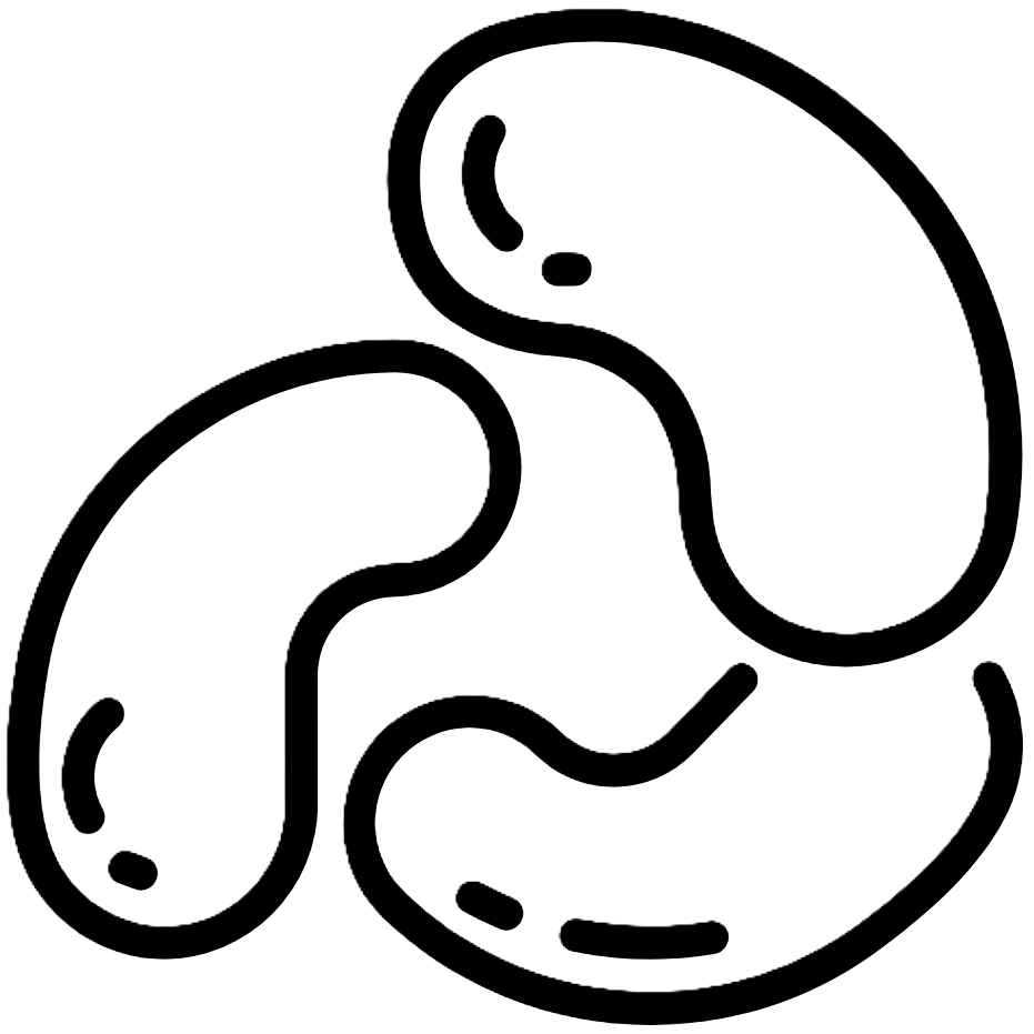 Cashew