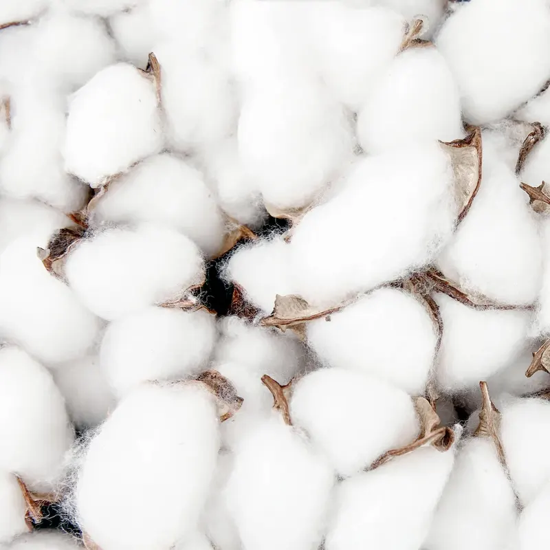 Cotton Lint Business Opportunity in PEIA, Ivory Coast, Cotton By-Product Markets, Africa For Investors