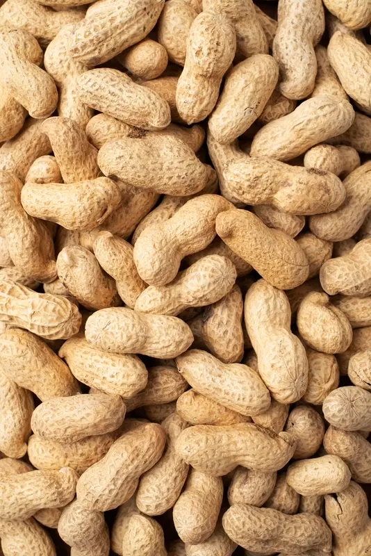 Peanuts