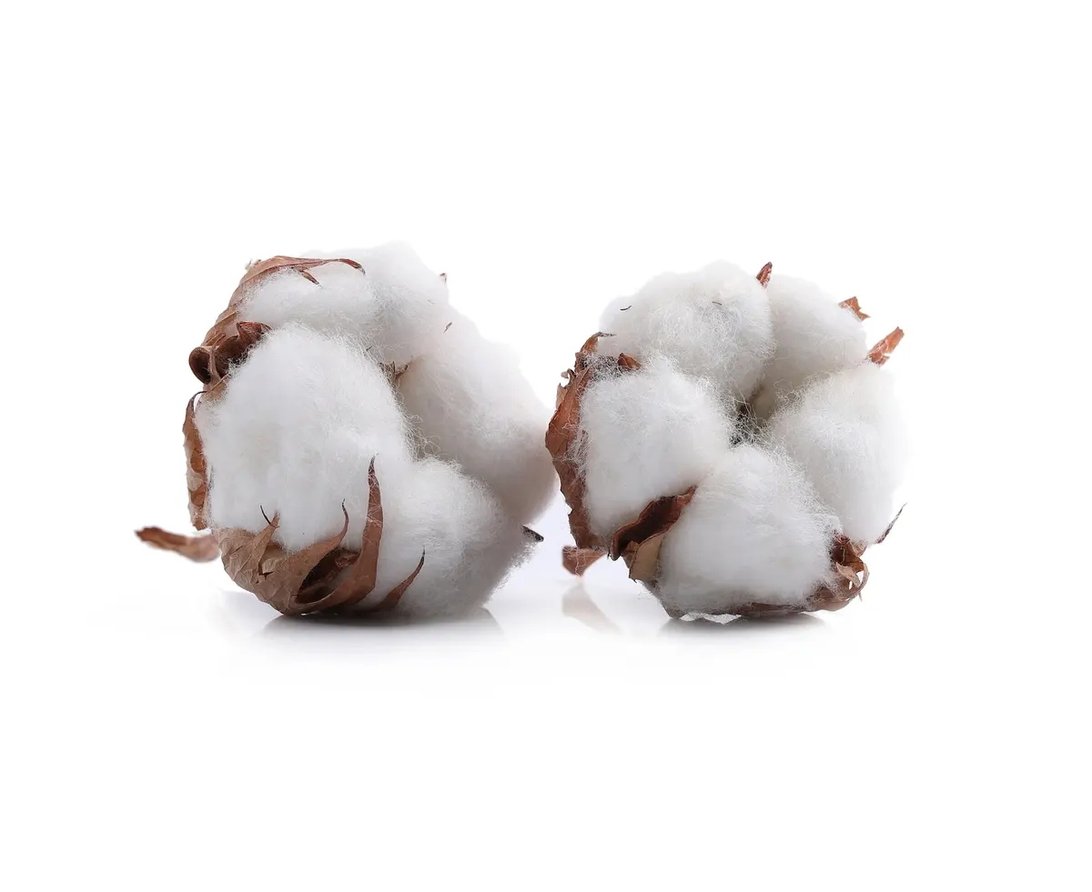 Cotton business advantages in PEIA, Ivory Coast, Africa, Arise IIP industrial zones