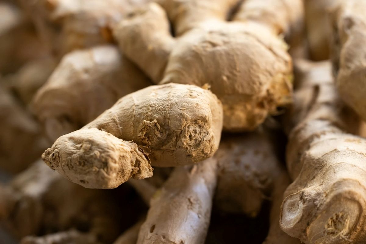 Ginger  Business In Africa, Explore Investment Opportunities in Arise IIP SEZs, Special Economic Zones Guide.
