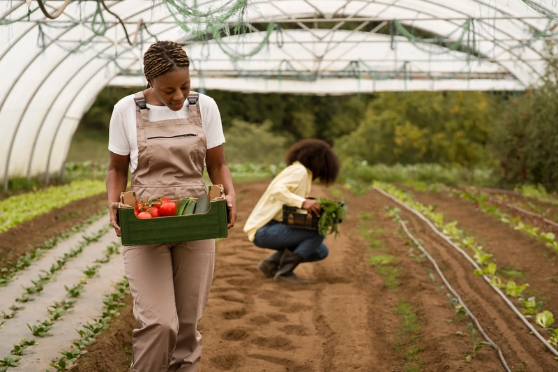 VEGETABLE CAPABILITIES & FACILITIES IN AFRICA