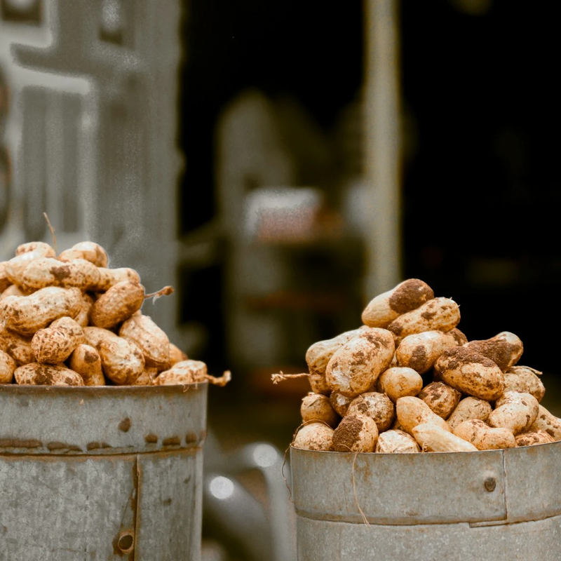 GROUNDNUT CAPABILITIES & FACILITIES IN AFRICA