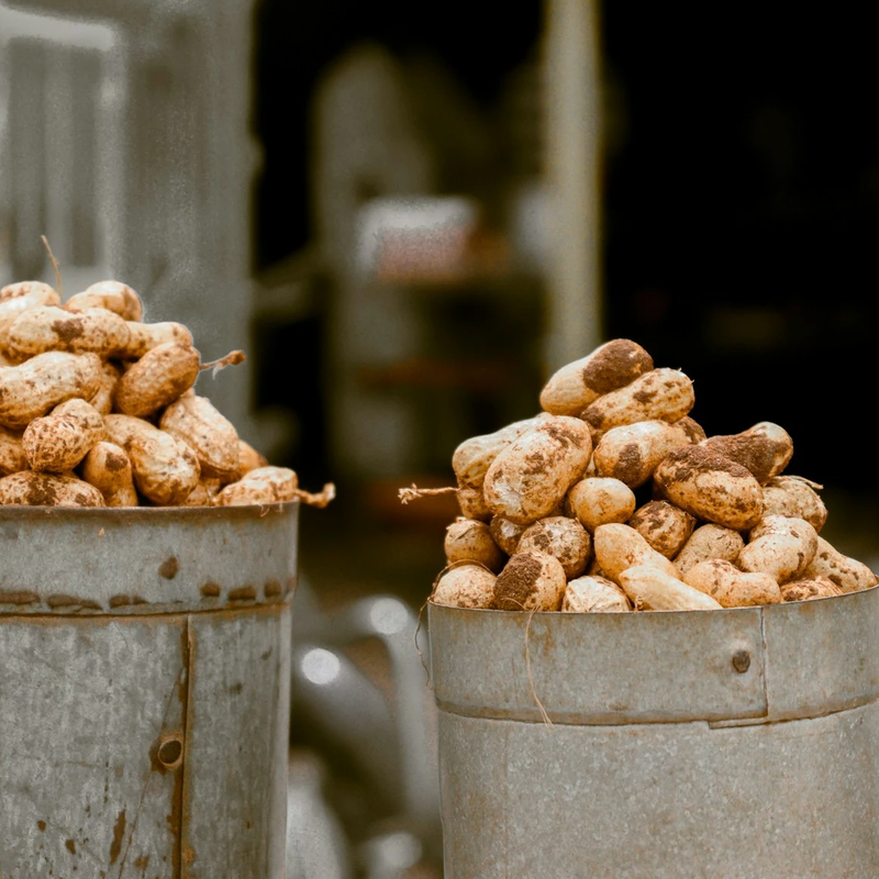 GROUNDNUT CAPABILITIES & FACILITIES IN IPRFZ