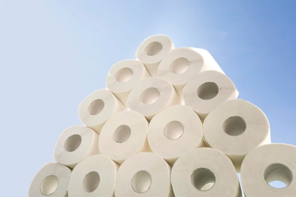 Paper & Pulp Business Investment In Africa, Business Opportunities for Investors in Arise IIP SEZs, Special Economic Zones.