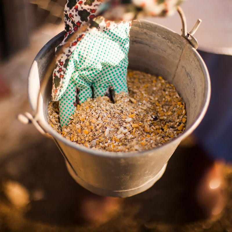 Cashew Livestock Feed