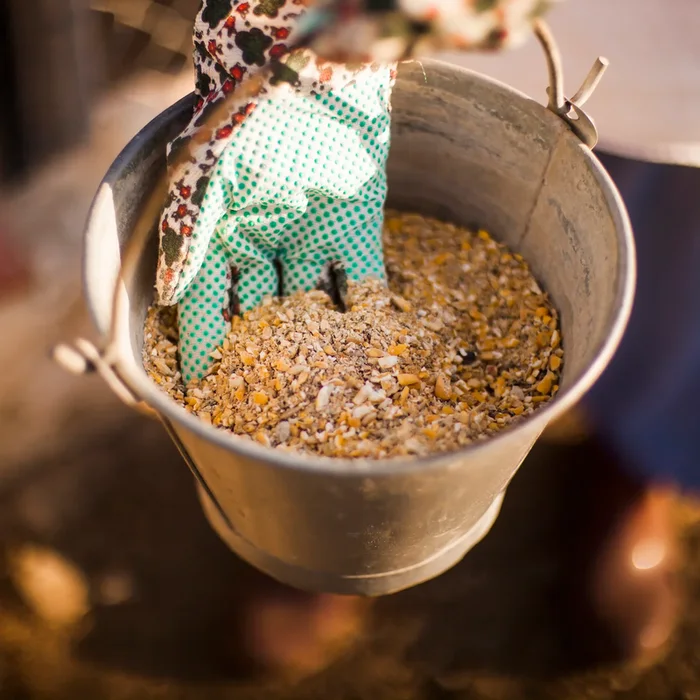 Cashew Livestock Feed Business Opportunity, Cashew By-Product Markets, Africa For Investors