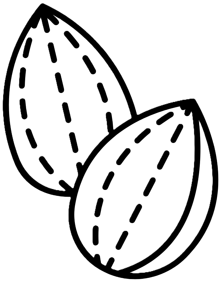 Shea Processing