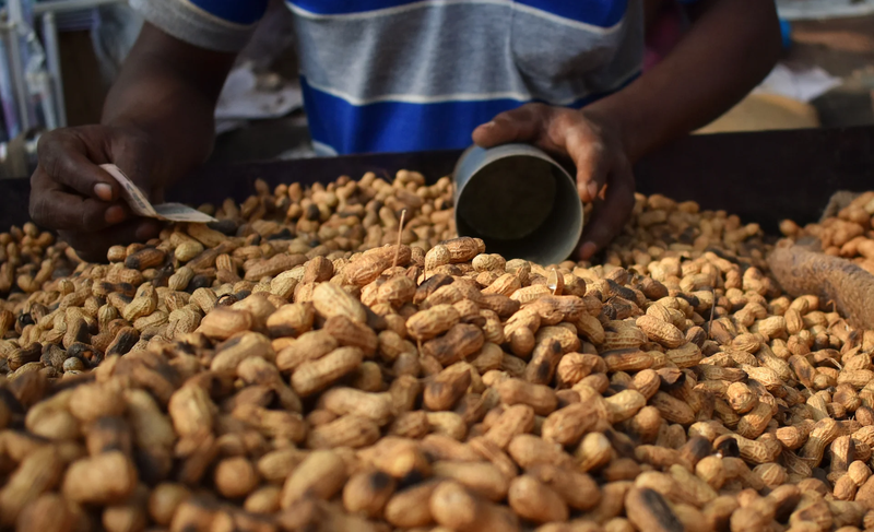 GROUNDNUT CAPABILITIES & FACILITIES IN AFRICA