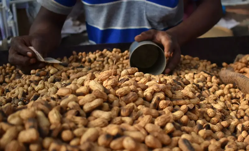 GROUNDNUT CAPABILITIES & FACILITIES IN AFRICA Capabilites & Facilities in Arise IIP industrial zones, SEZs of Africa For Investors