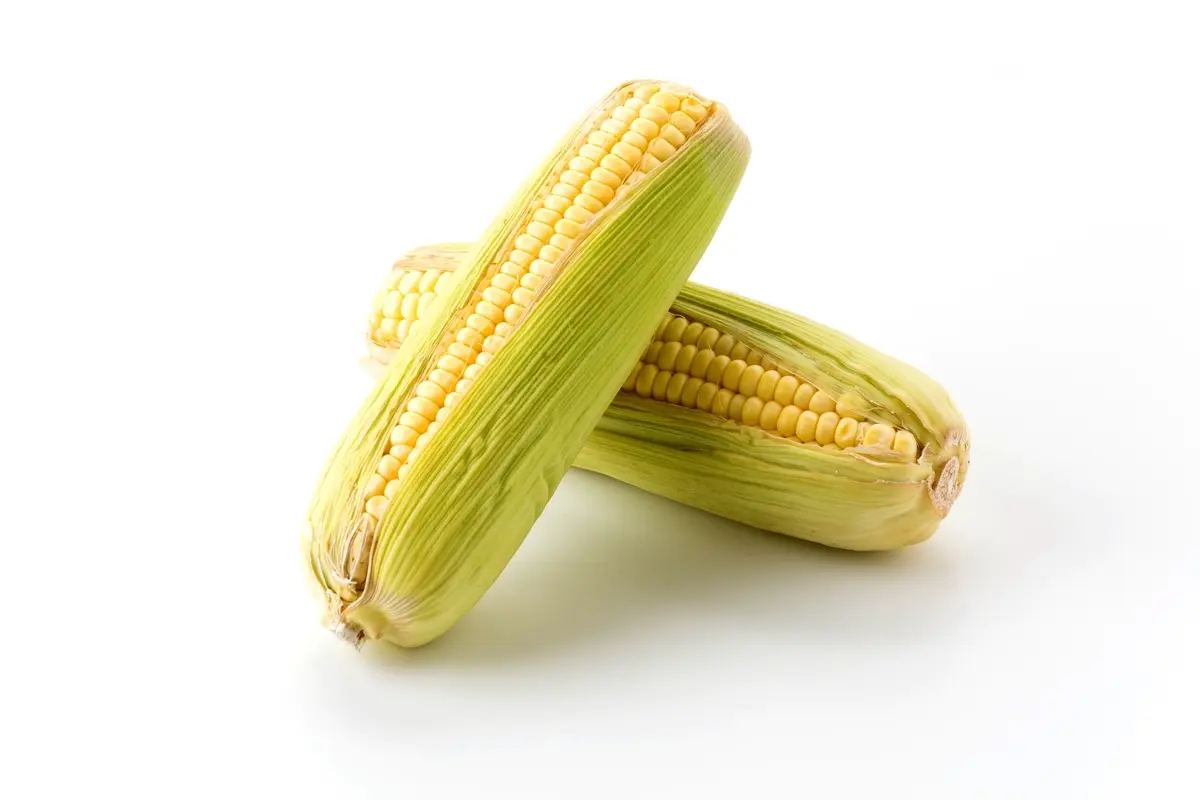 Maize business advantages in ZISARH, Chad, Africa, Arise IIP industrial zones