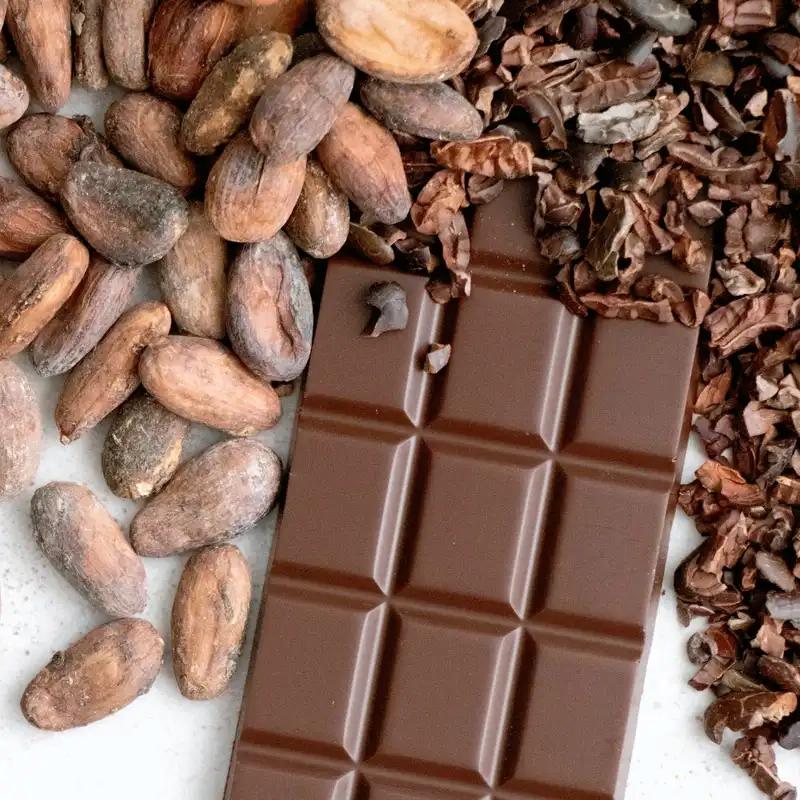 Cocoa Business Investment in PEIA, Ivory Coast, Africa, Industry Opportunities for Investors in Arise IIP SEZs, Special Economic Zones.