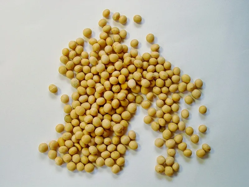 Soya Bean Capabilites & Facilities in GDIZ, Benin, Arise IIP industrial zones, SEZs of Africa For Investors