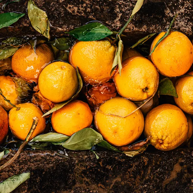 Fruit Processing Business Investment in ZISARH, Chad, Africa, Industry Opportunities for Investors in Arise IIP SEZs, Special Economic Zones.