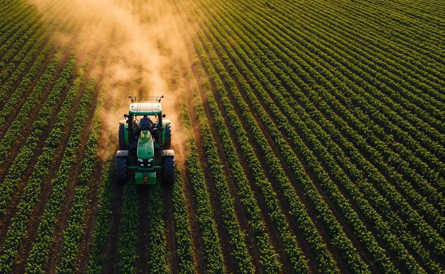 Agro Processing Business Investment in PIA, Special Economic Zone, Africa - Industry Opportunities for Investors in Arise IIP SEZs, Special Economic Zones.