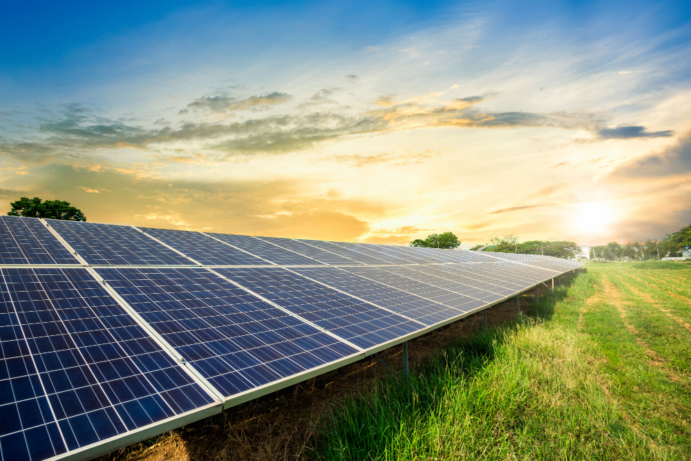 Energy Transition: Solar + Biomass Take the Lead