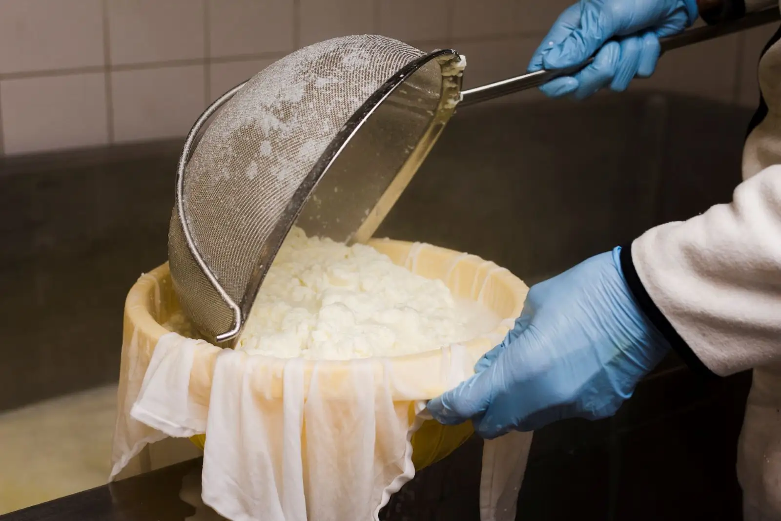 How To Set Up a Dairy Processing Business in Africa?  Dairy Manufacturing Industry in Africa: Value Added Ventures - Think Beyond Just Milk! Africa For Investors, Arise IIP SEZs