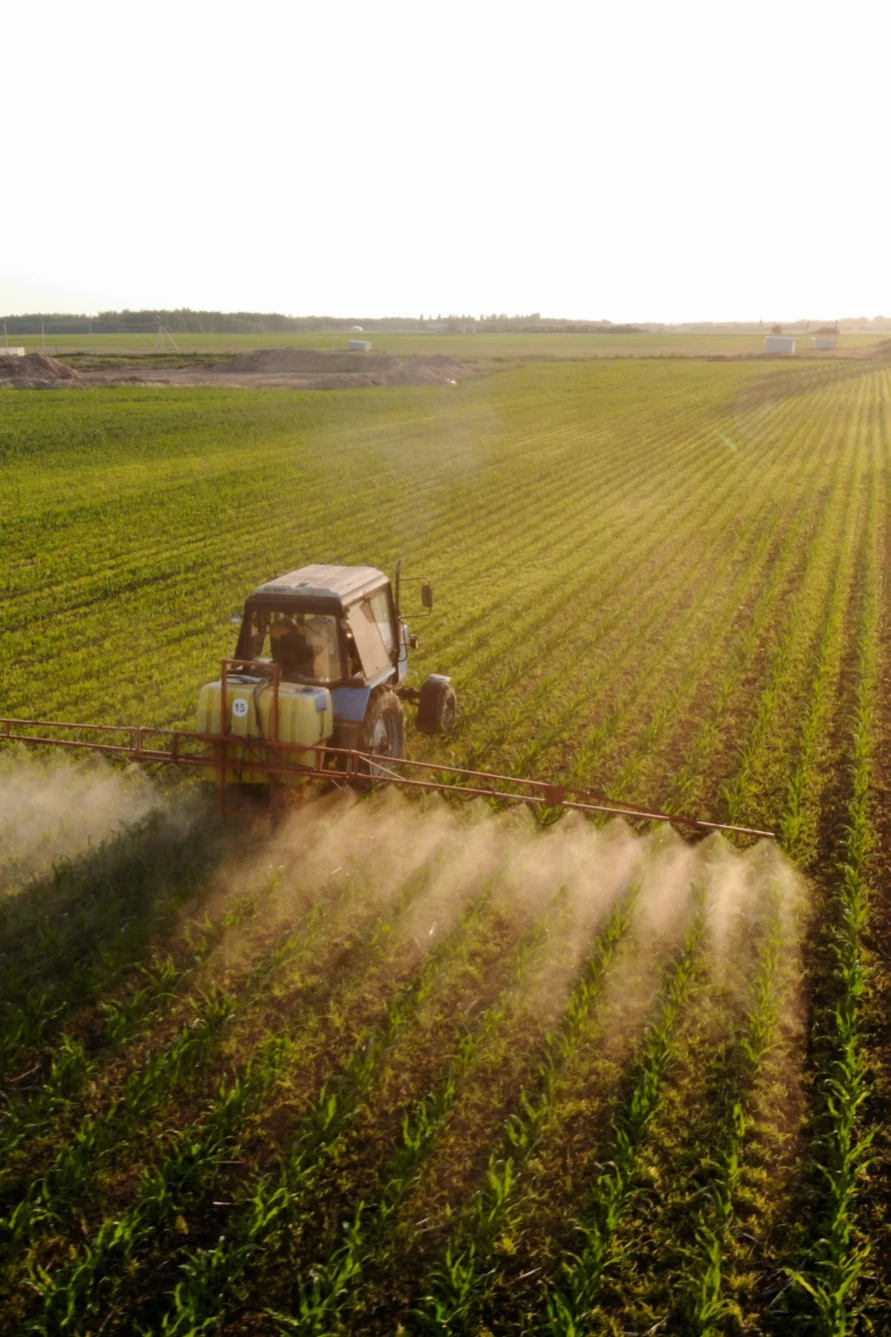 Agro Processing