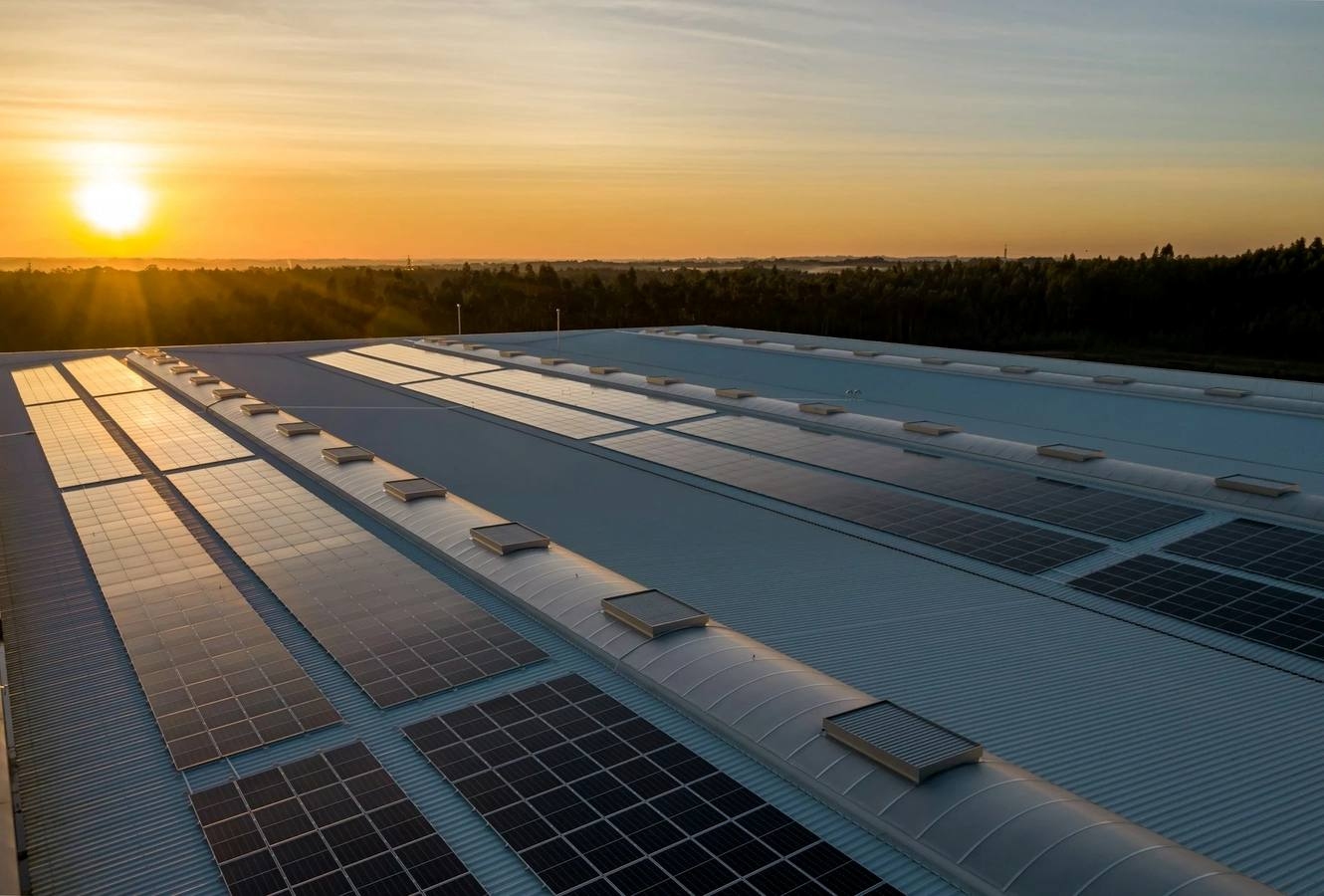  op Business Investment Opportunities In Africa With Arise IIP SEZs, Special Economic Zones.