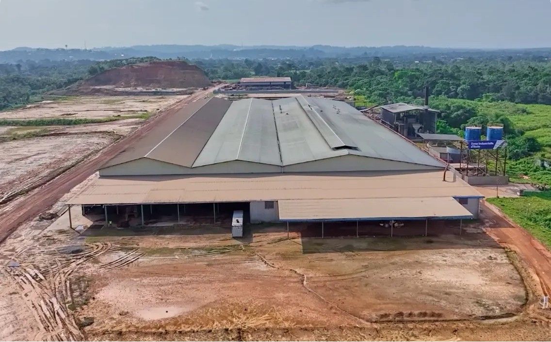 Palm Oil Business Investment in GSEZ, Gabon, Africa, Industry Opportunities for Investors in Arise IIP SEZs, Special Economic Zones.